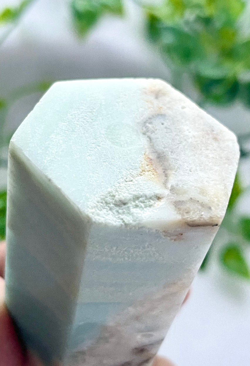 Caribbean Calcite Tower