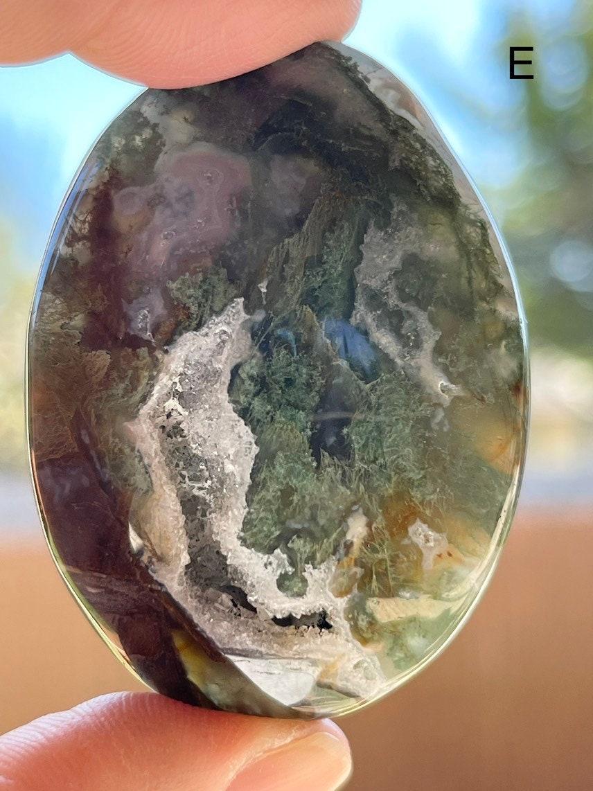 Moss Agate Palm