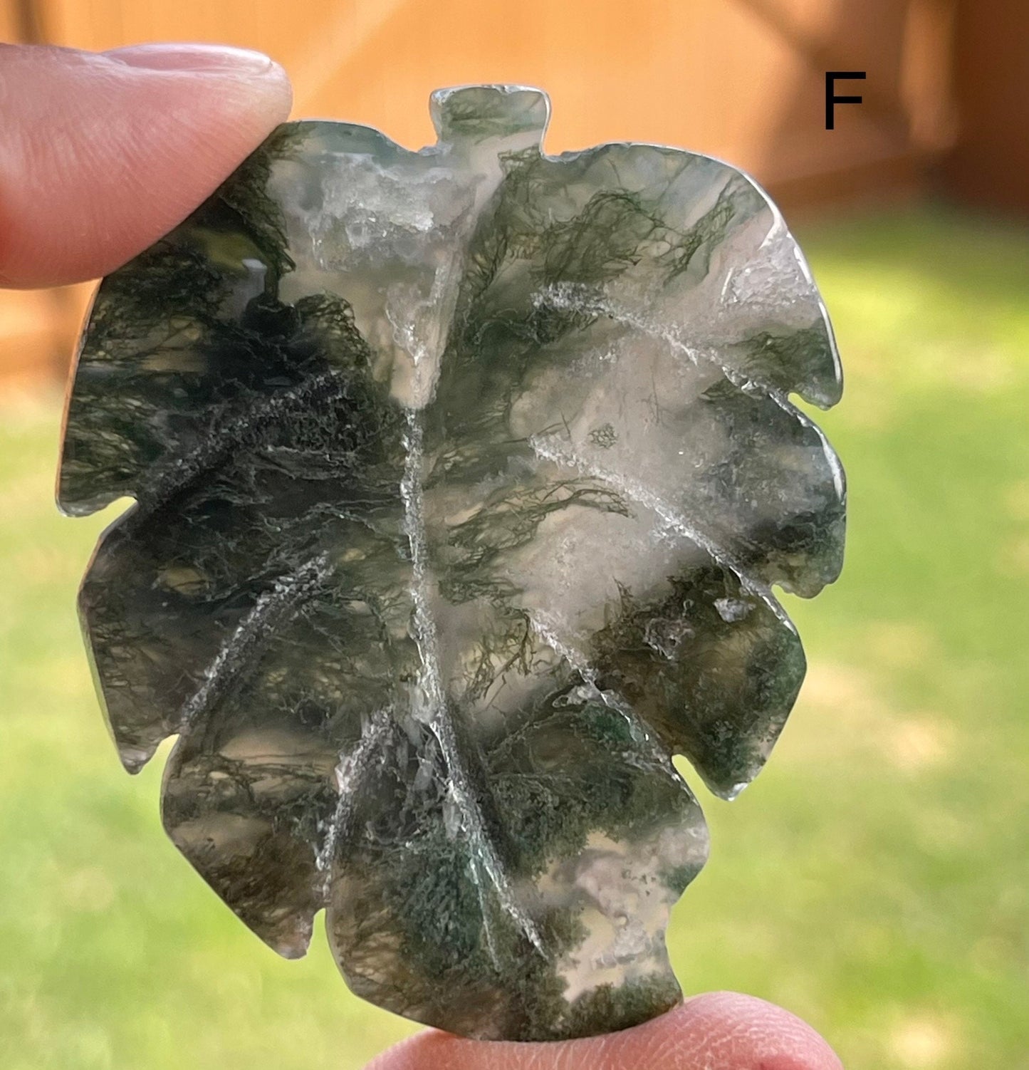 Moss Agate Leaf