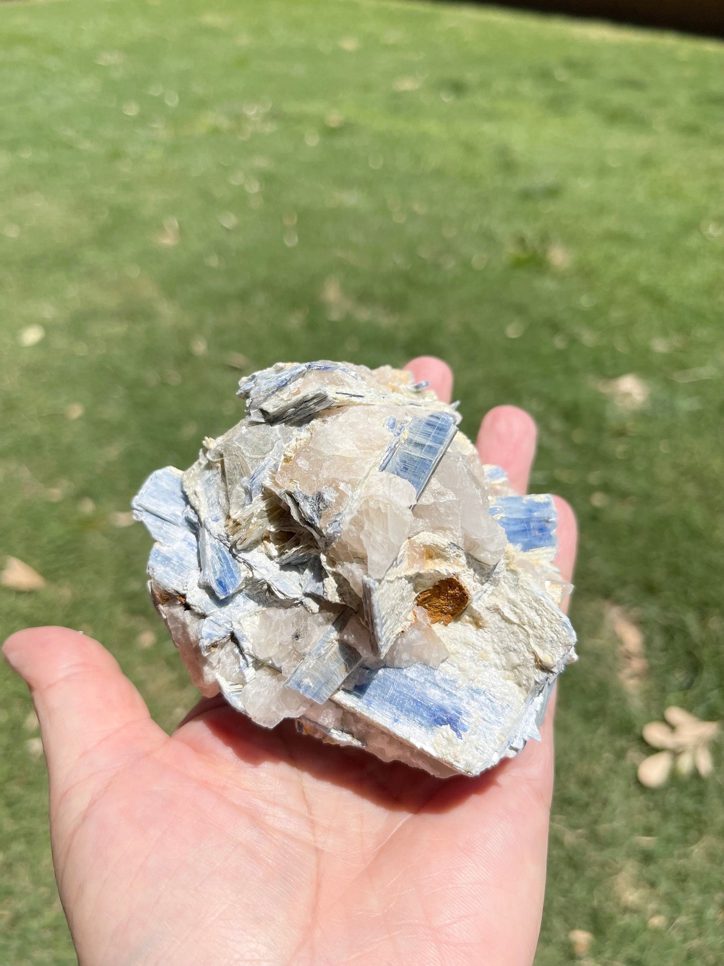 Blue Kyanite and Clear Quartz Specimen