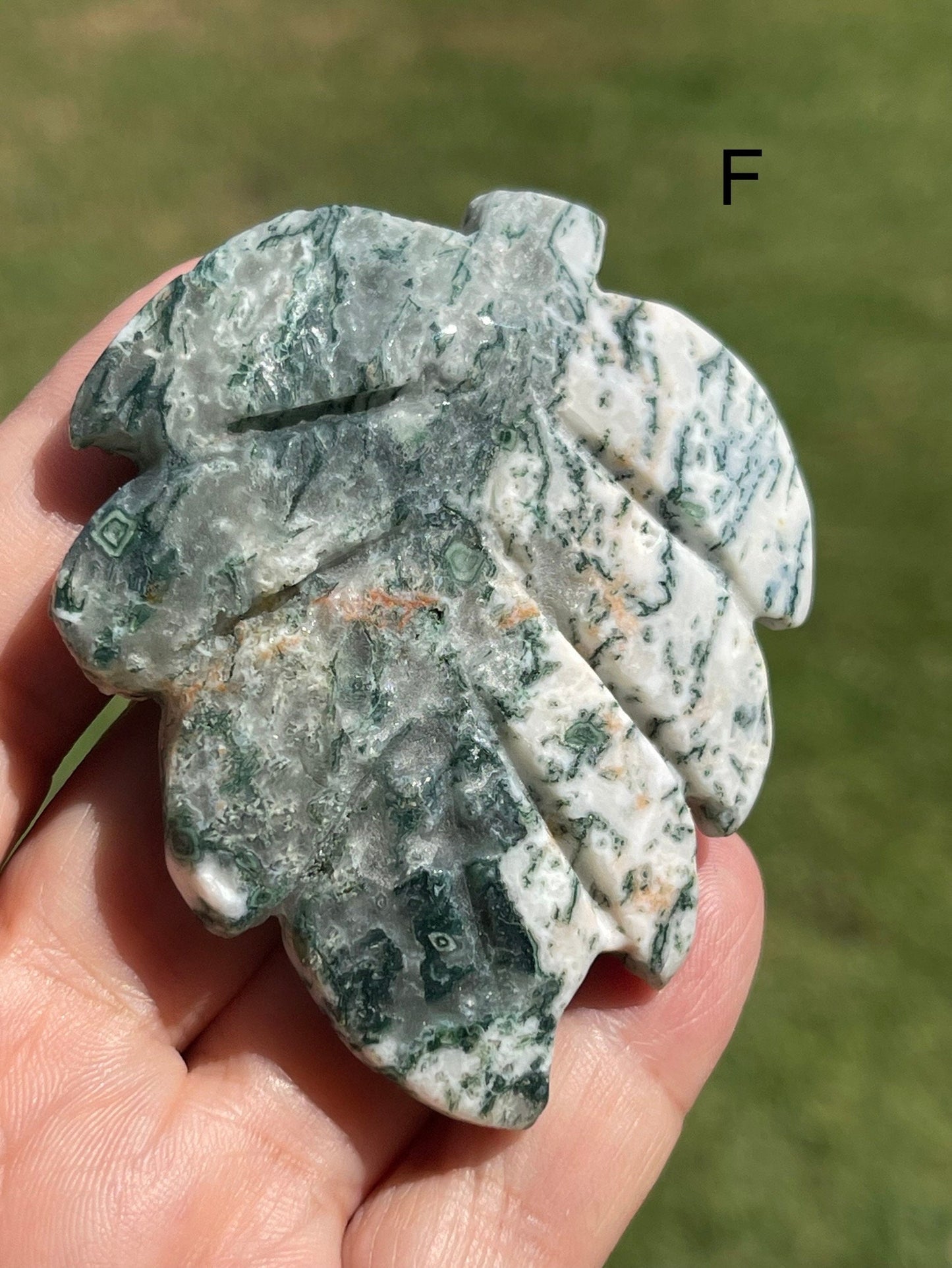 Moss Agate Leaf