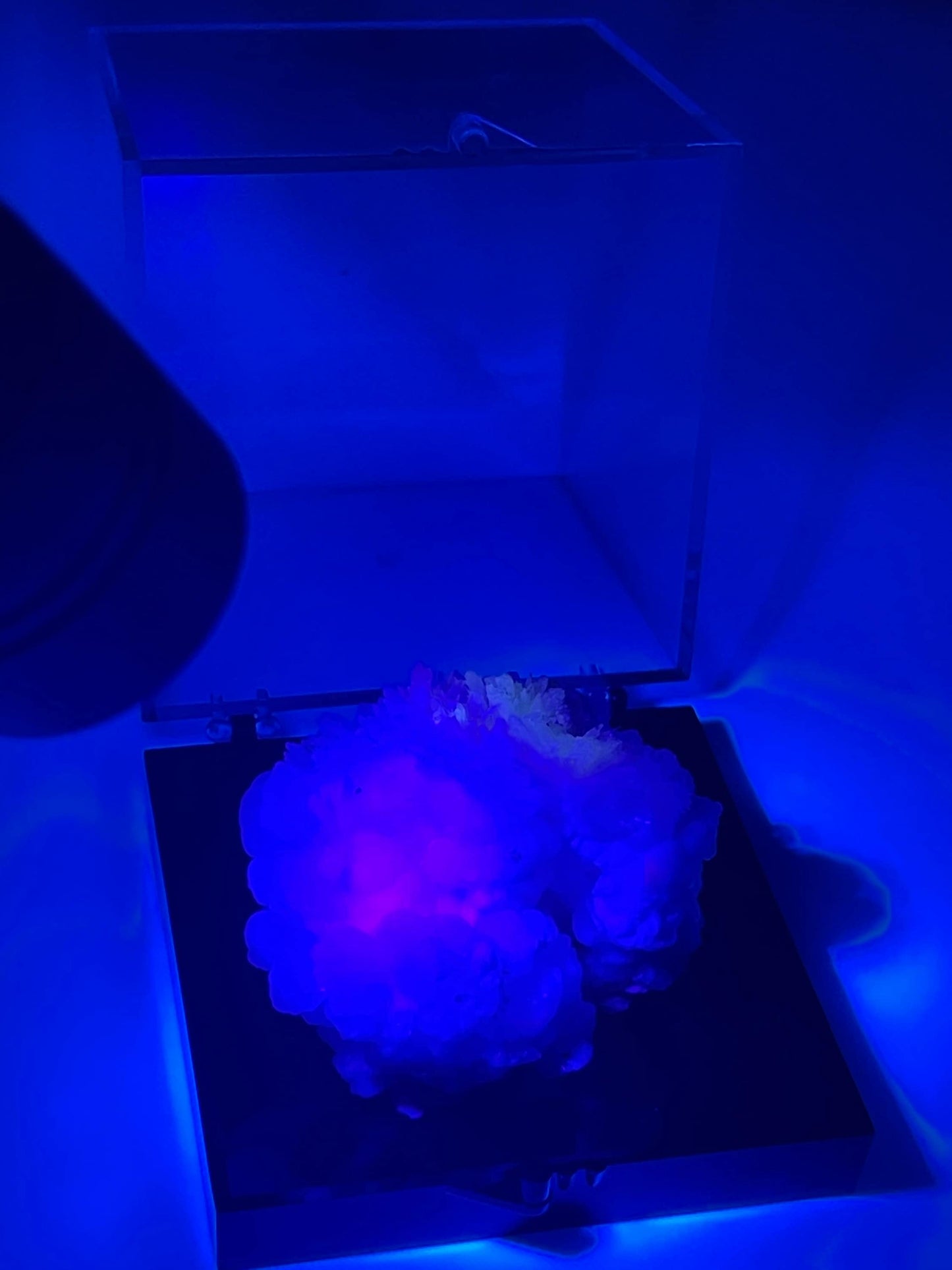 Hydrozincite Specimen UV Reactive