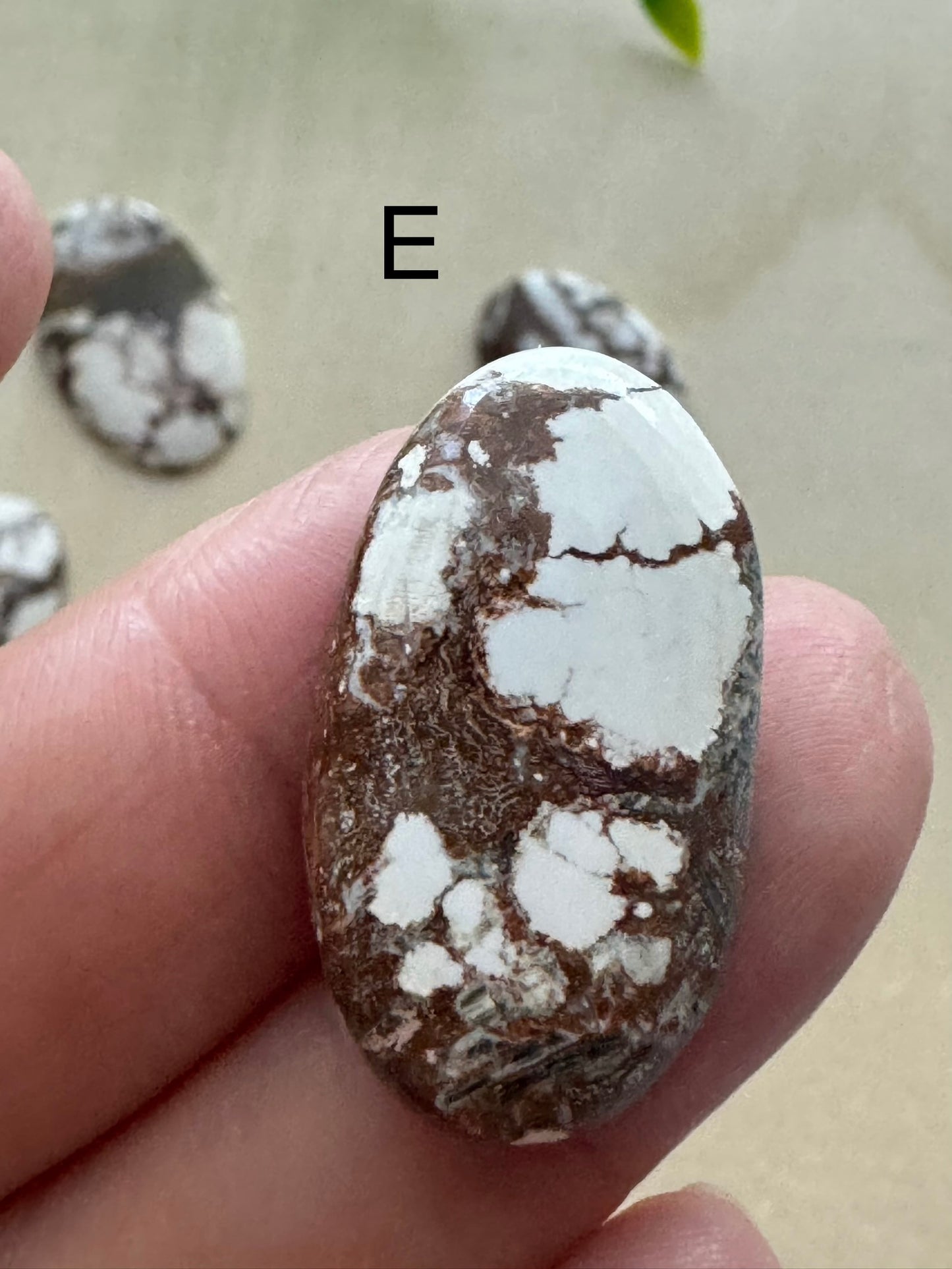 Wild Horse Jasper Cabochon