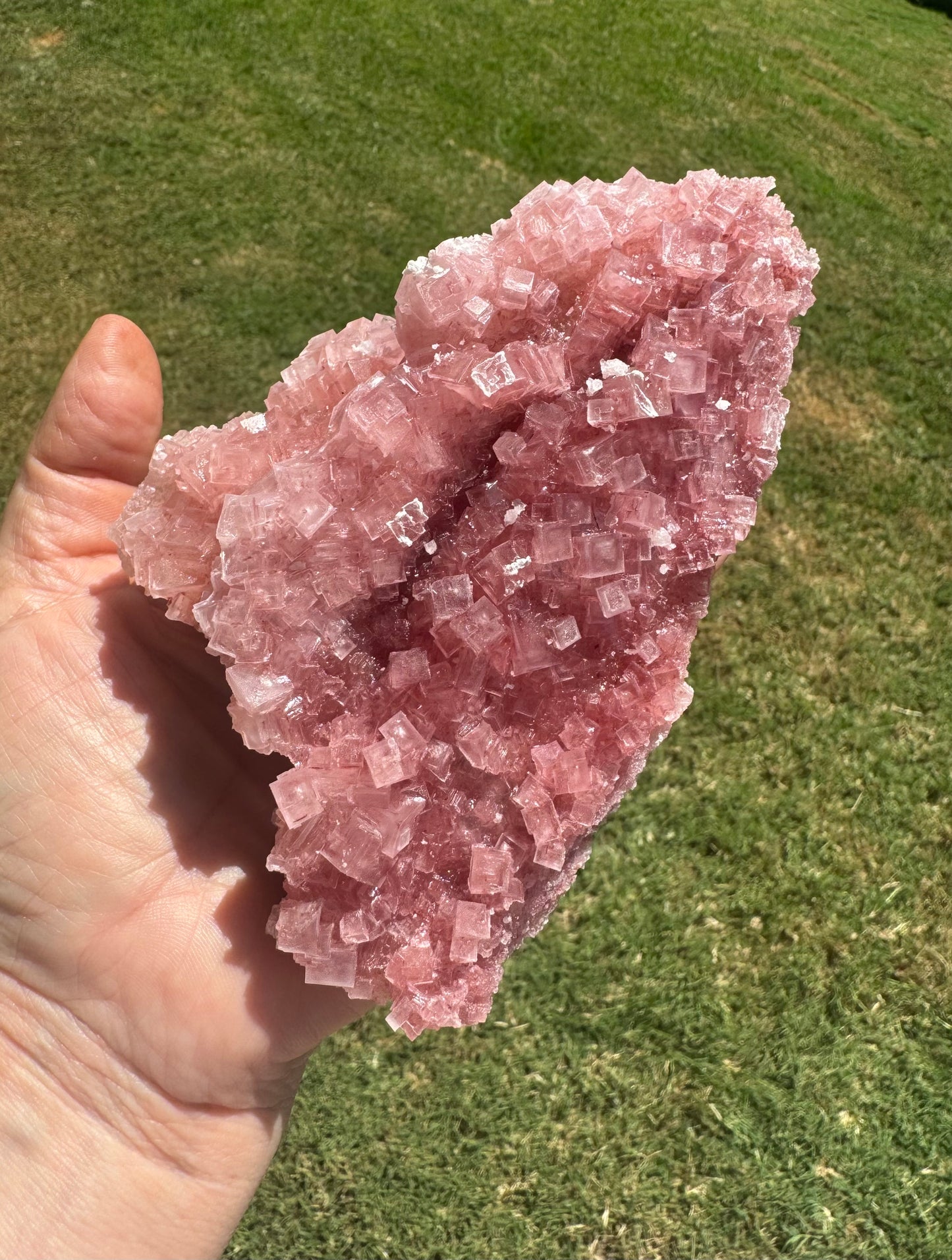 Pink Halite Crystal Specimen