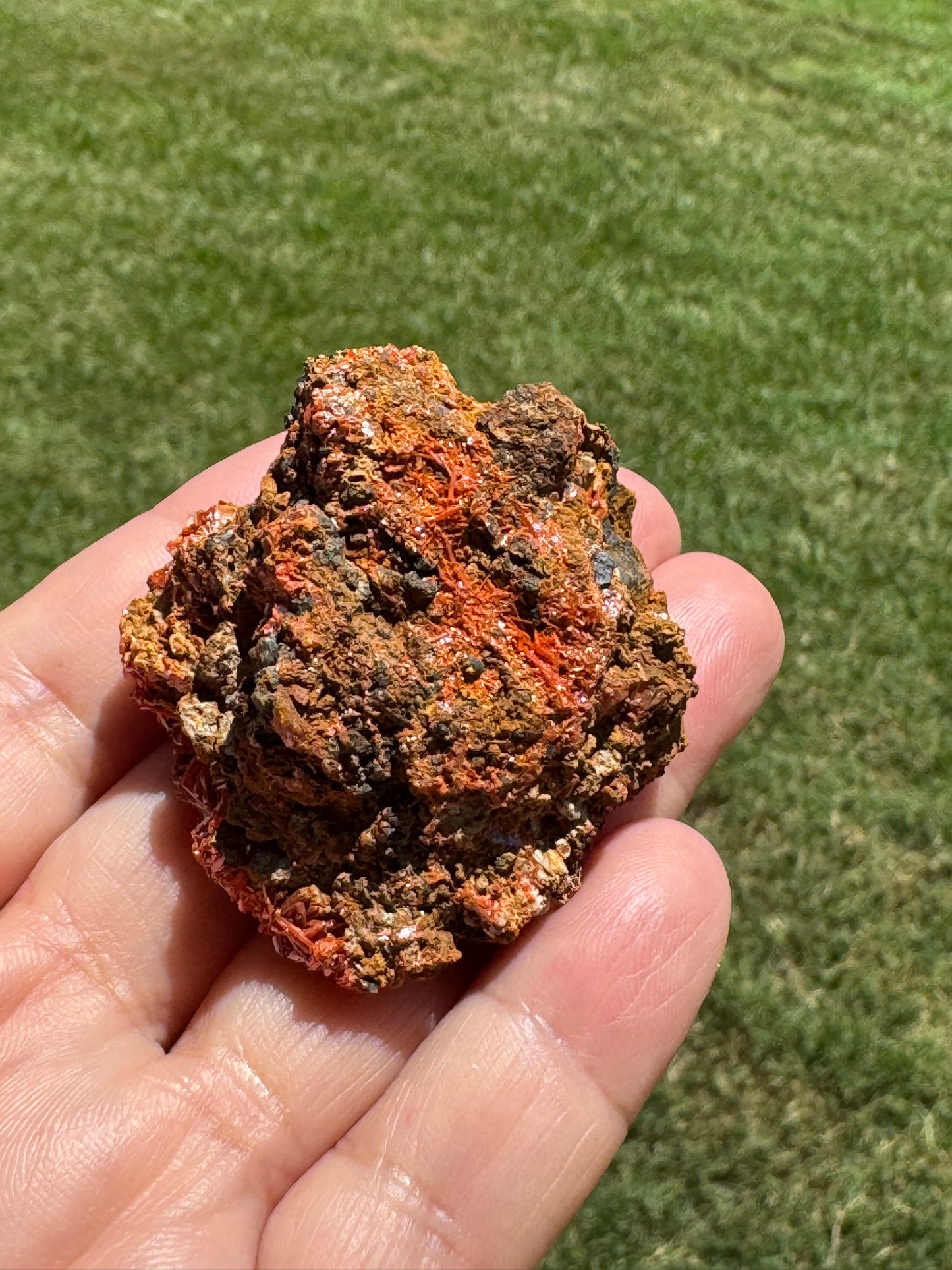 Rare Crocoite Mineral Specimen