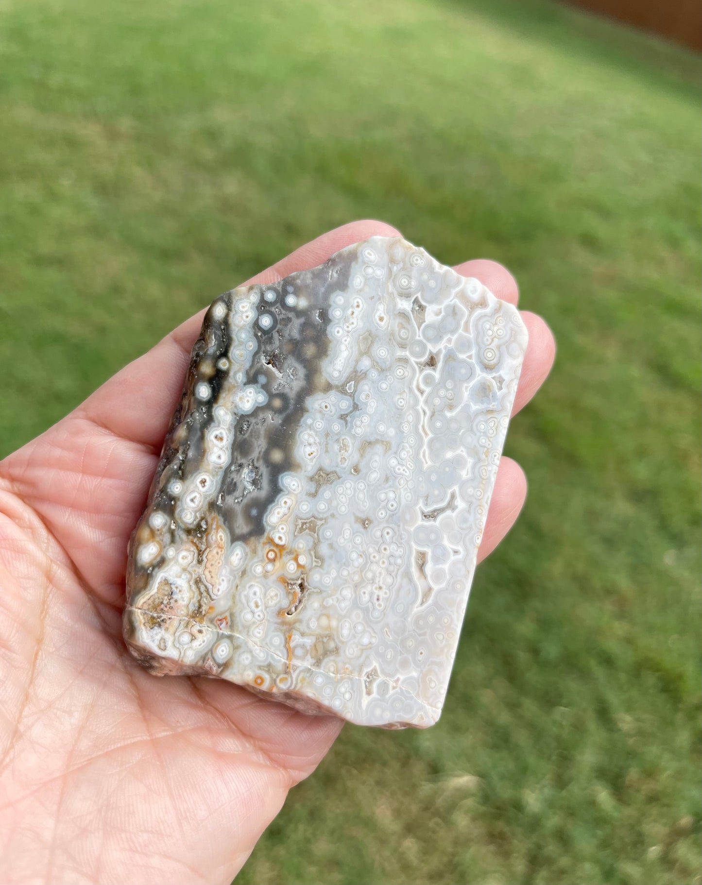 Ocean Jasper Slab