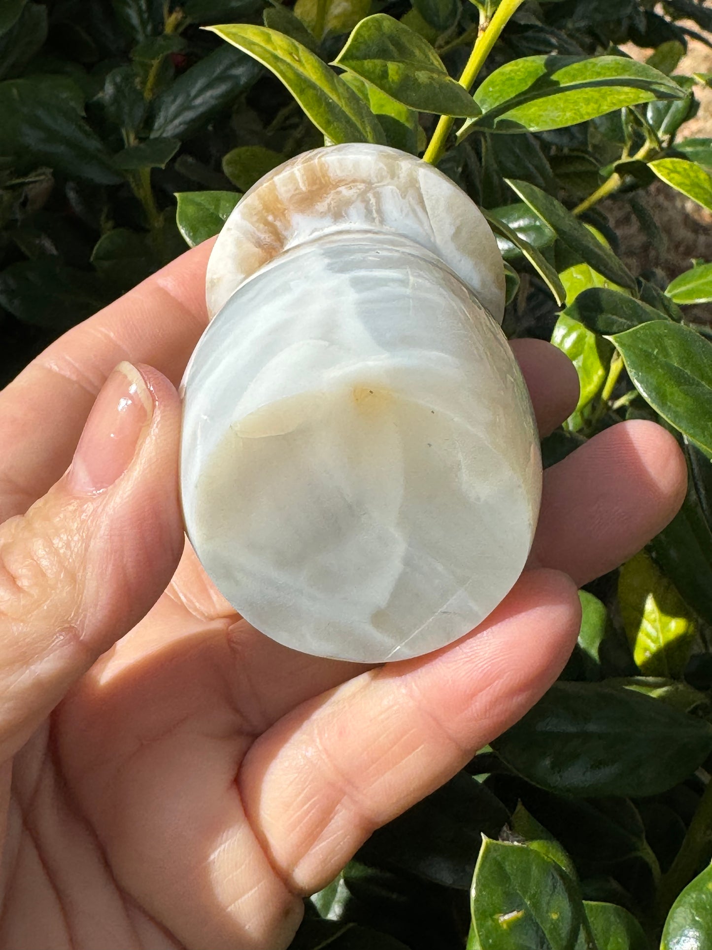 Ocean Jasper Mushroom Carving