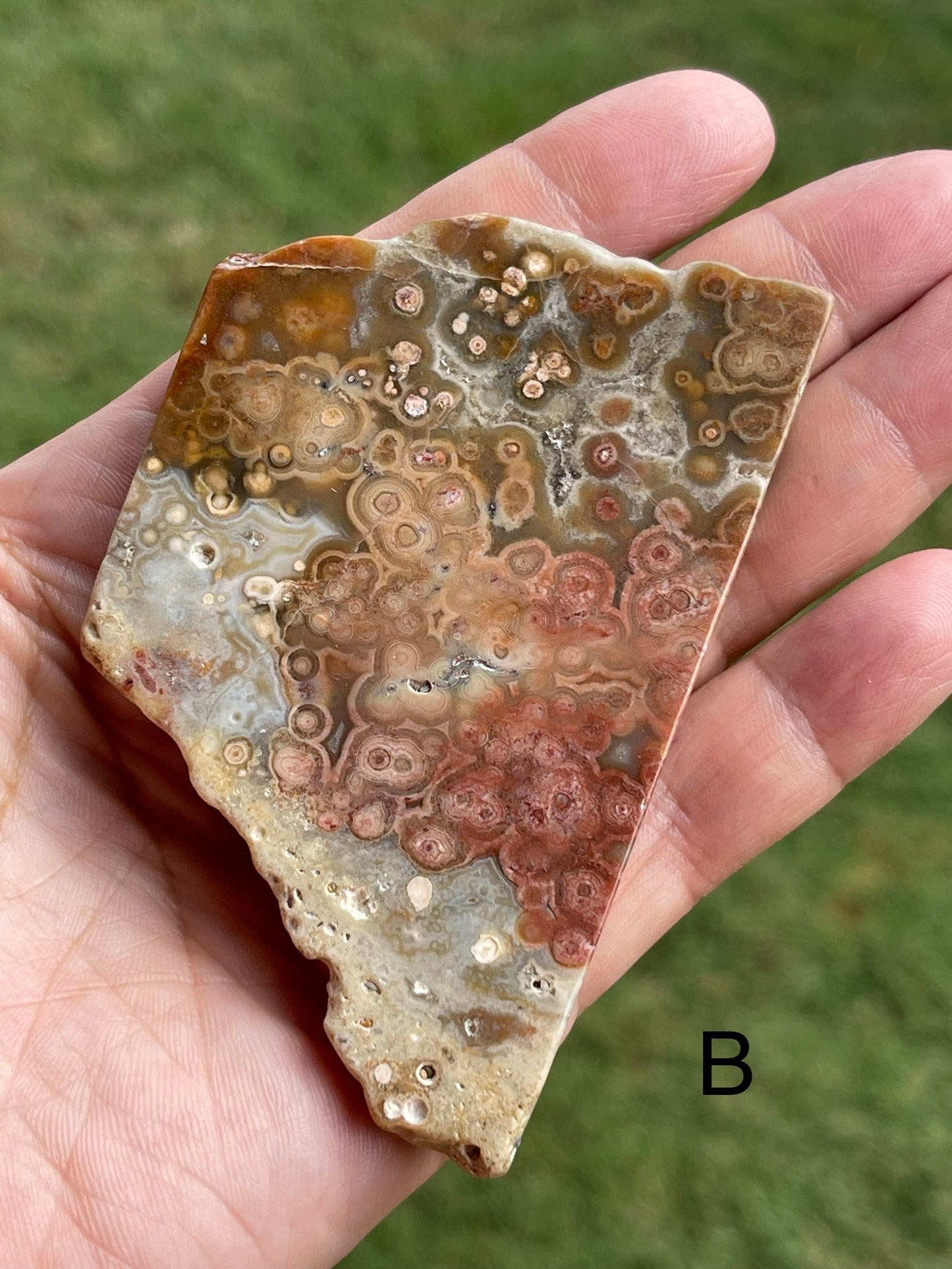 Ocean Jasper Slab