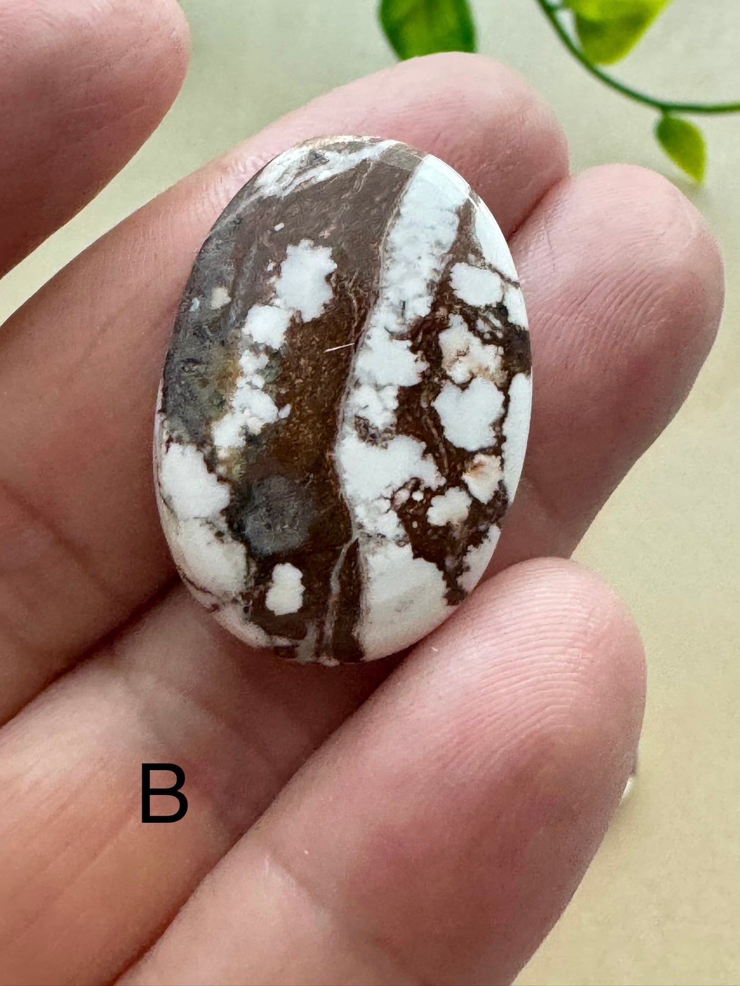 Wild Horse Jasper Cabochon