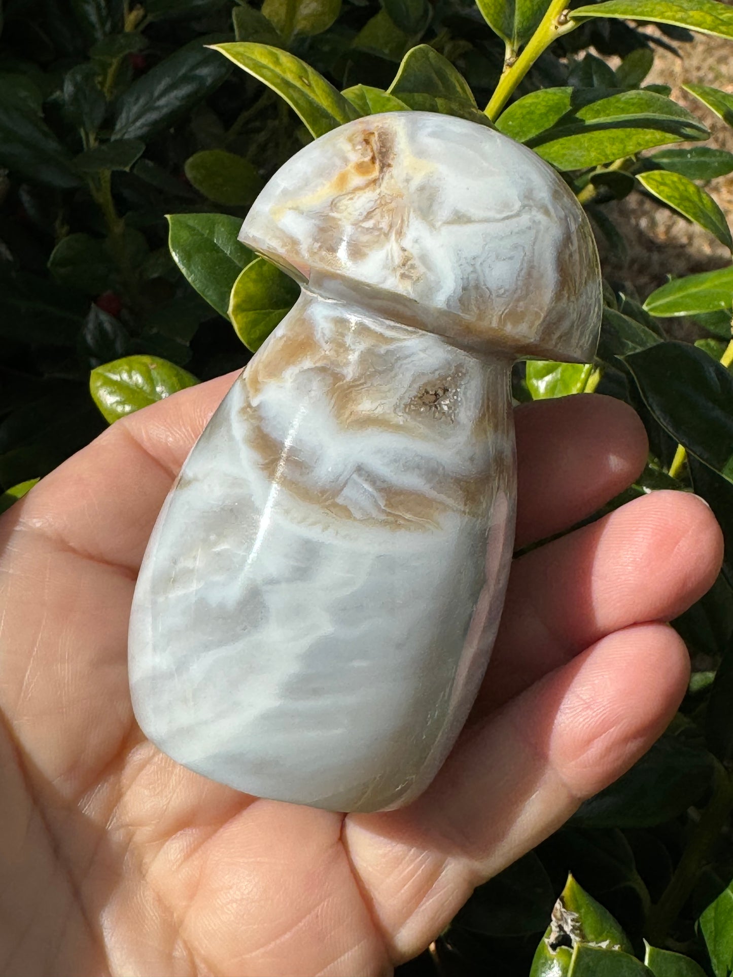 Ocean Jasper Mushroom Carving