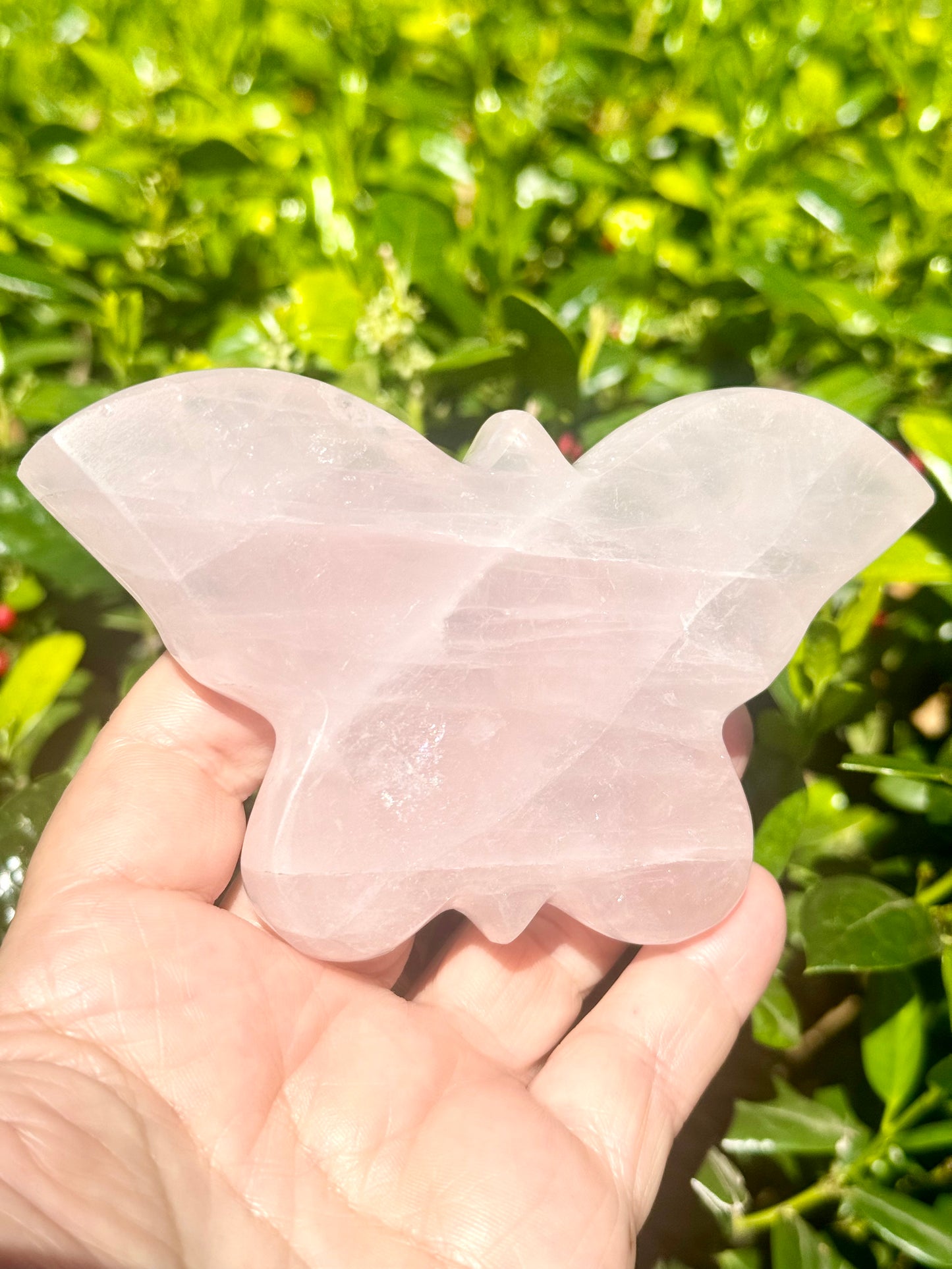 Rose Quartz Butterfly Carving