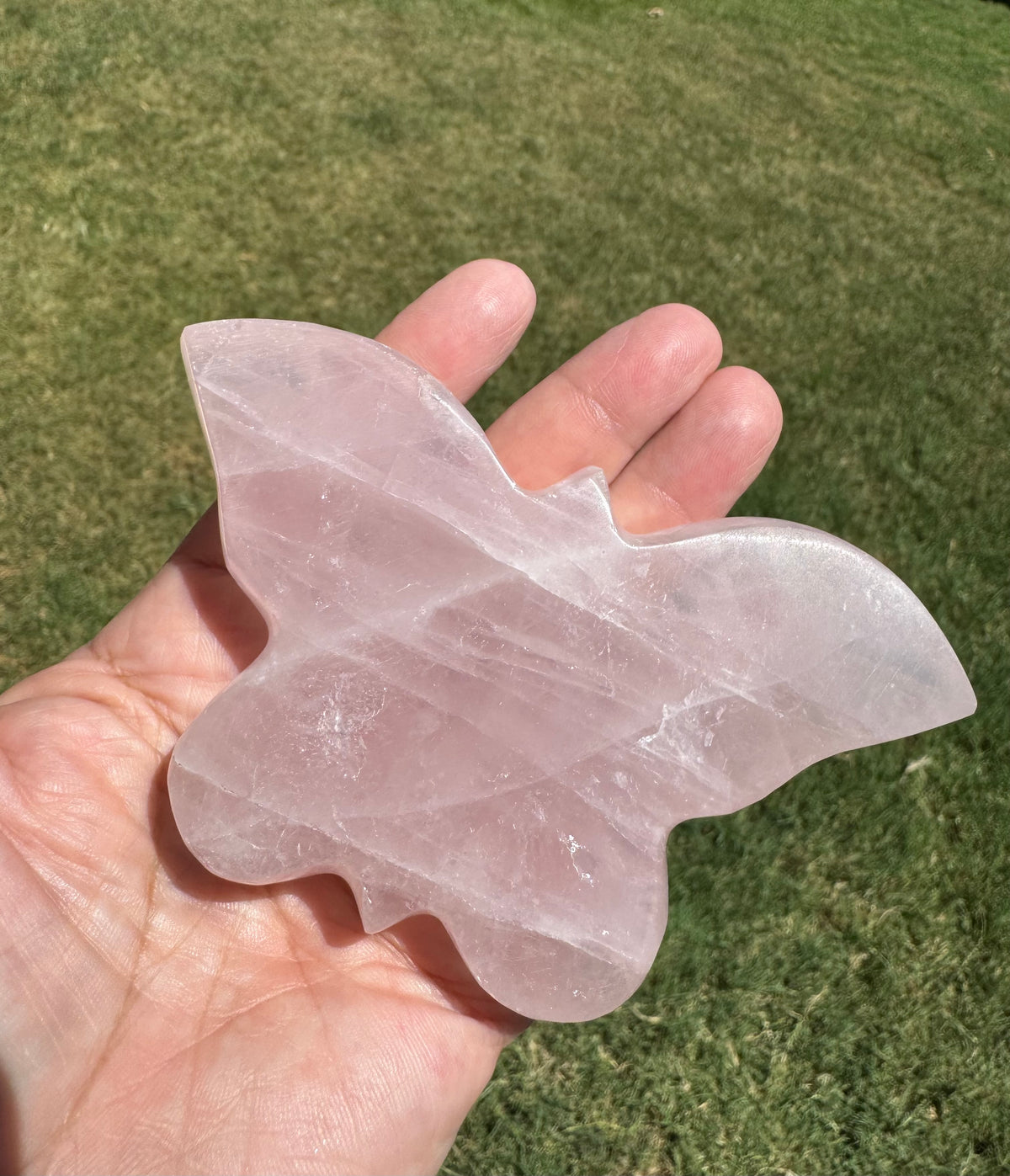 Rose Quartz Butterfly Carving