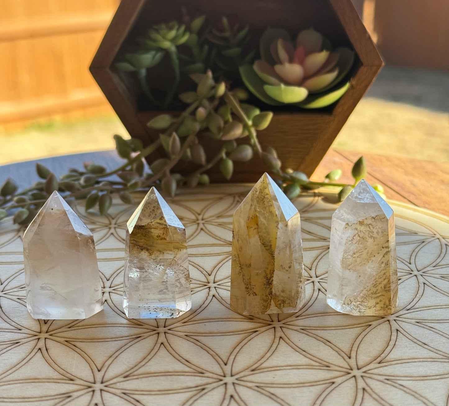 Dendritic Golden Healer Quartz Points