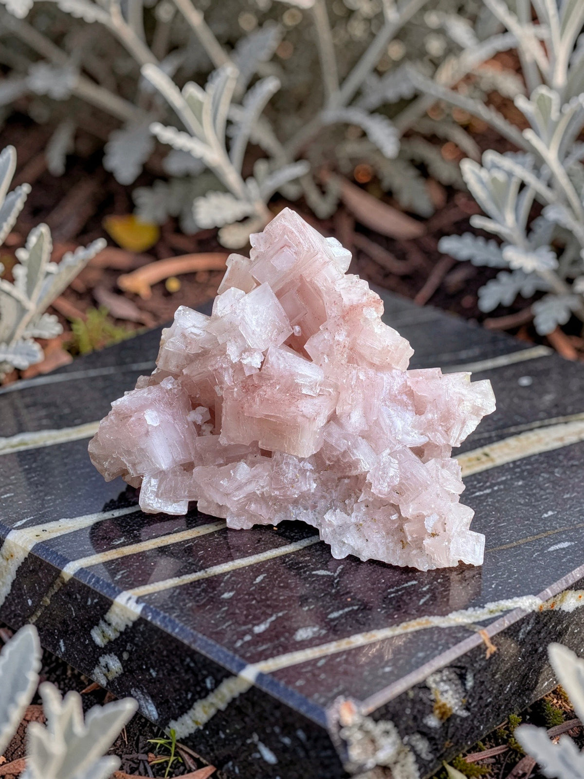 Pink Halite Crystal Specimen