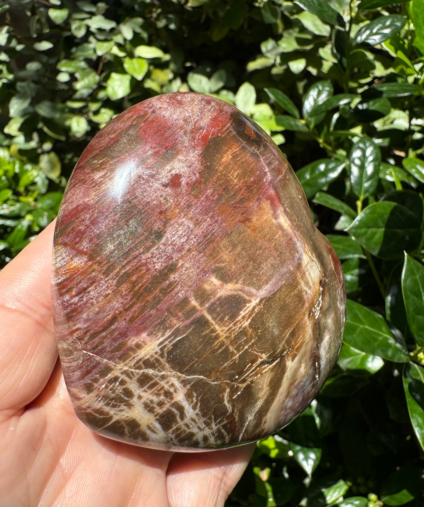 Petrified Wood Heart