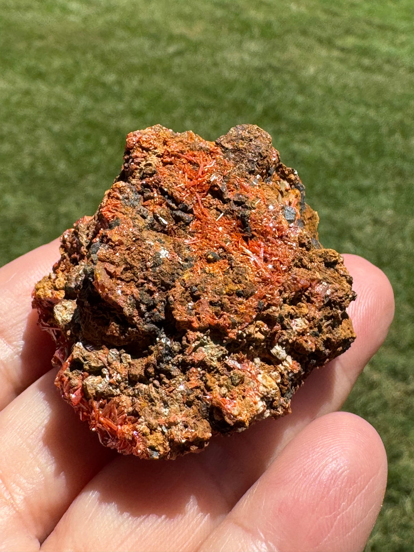 Rare Crocoite Mineral Specimen