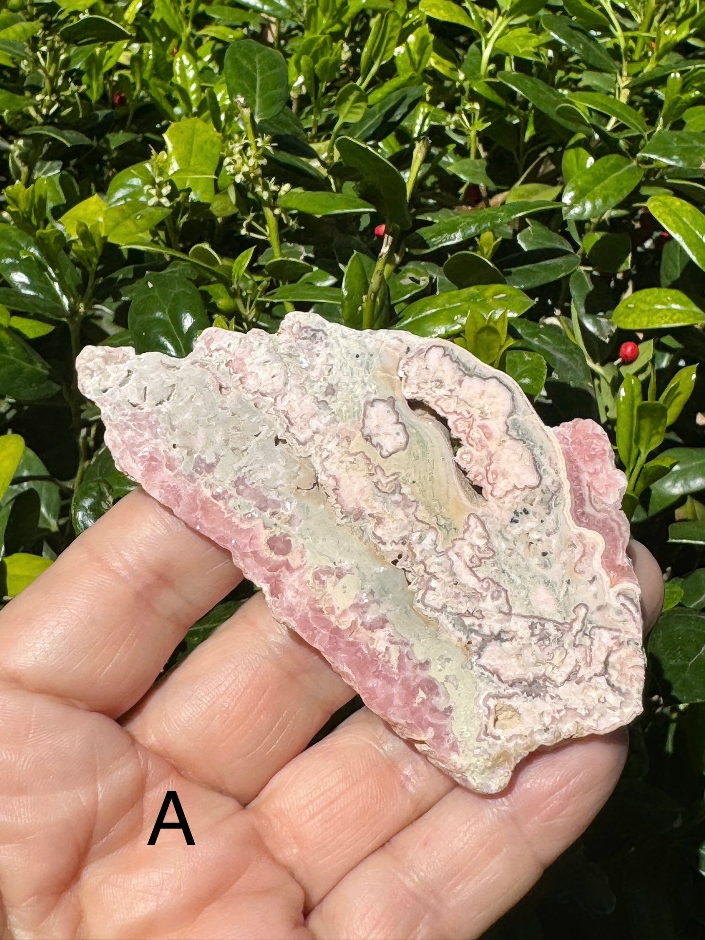 Rhodochrosite Slab