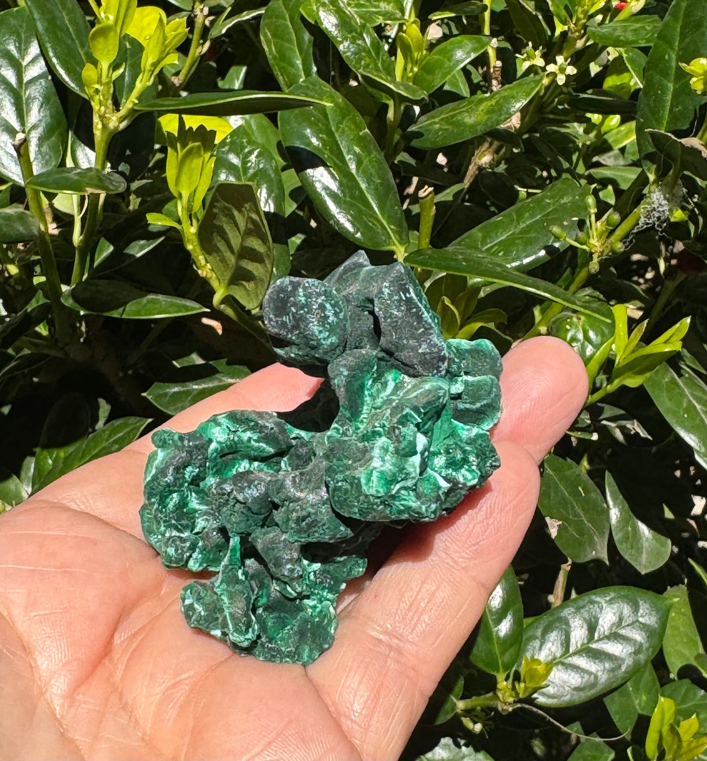 Velvet Malachite Specimen