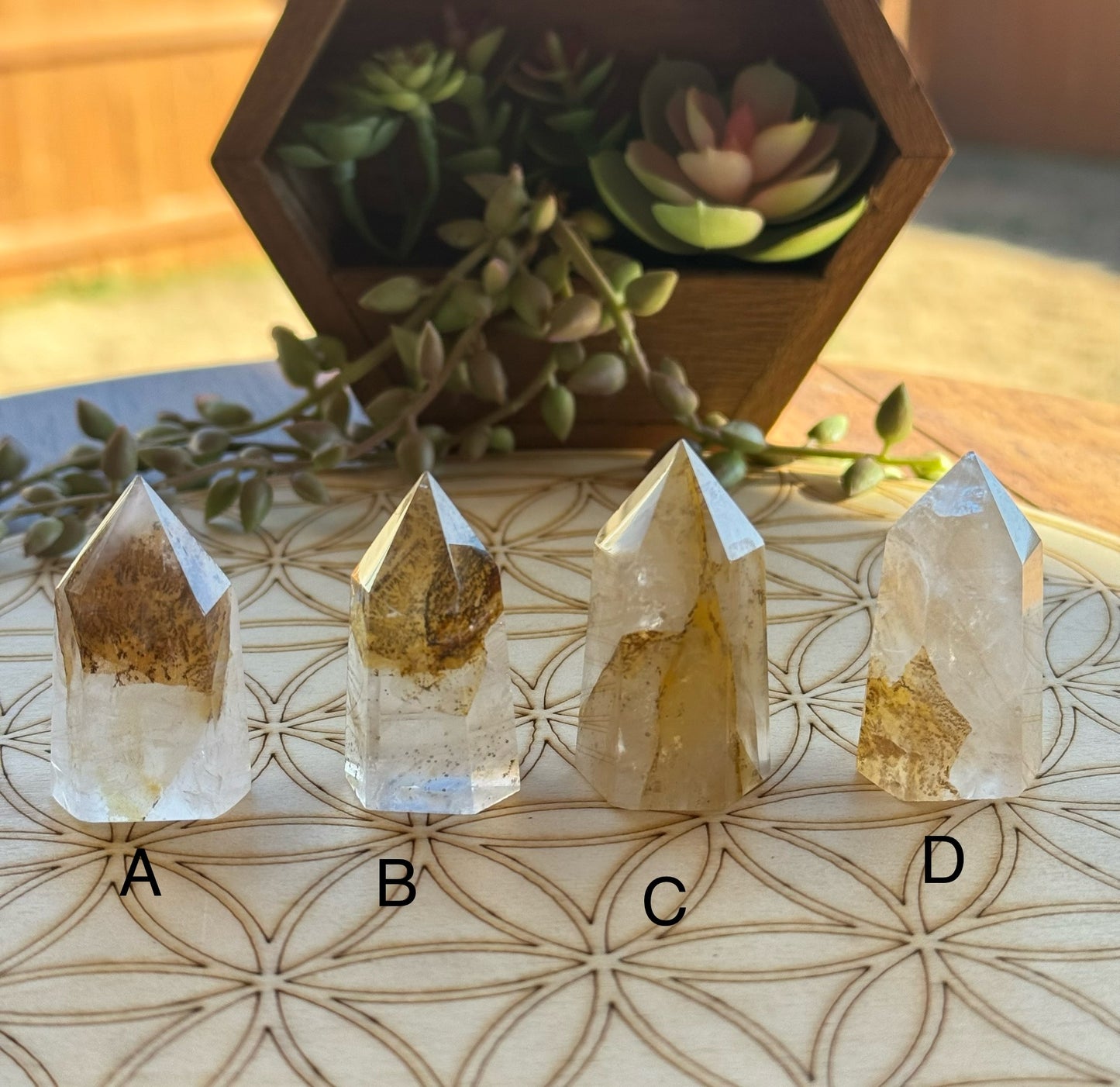 Dendritic Golden Healer Quartz Points