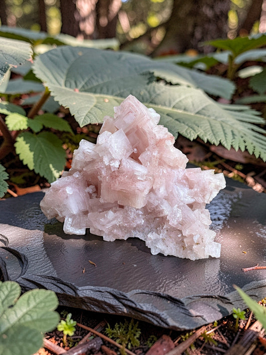 Pink Halite Crystal Specimen