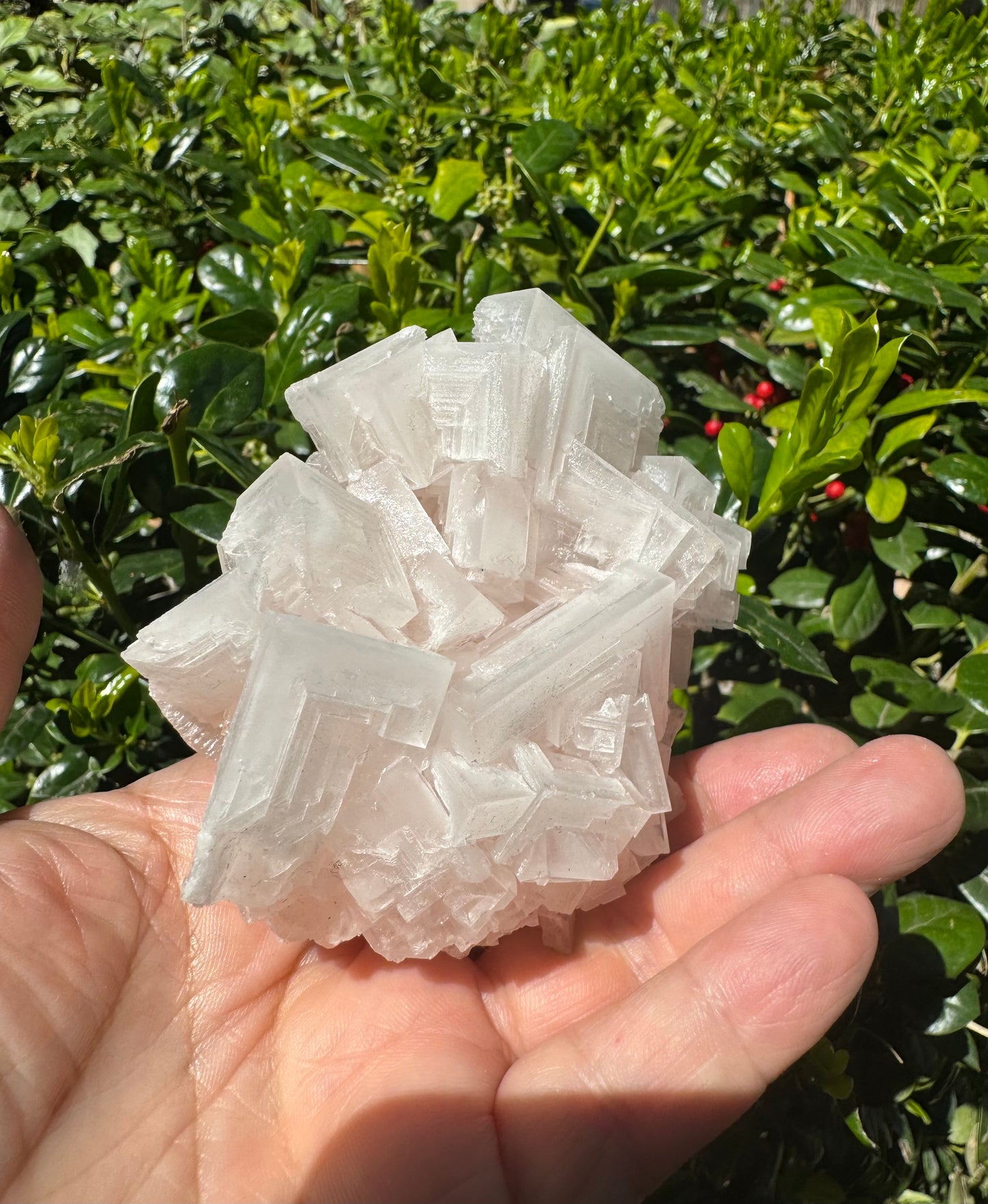 Pink Halite Crystal Specimen