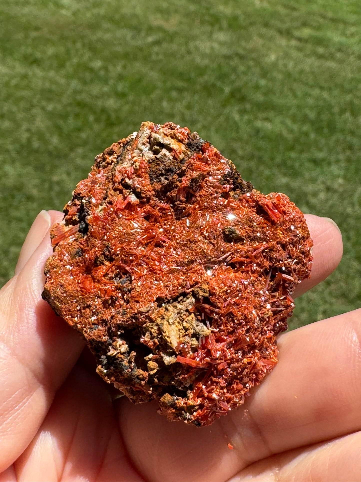 Rare Crocoite Mineral Specimen