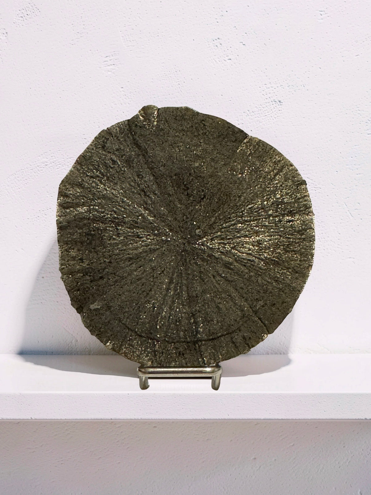 Pyrite Sun Specimen