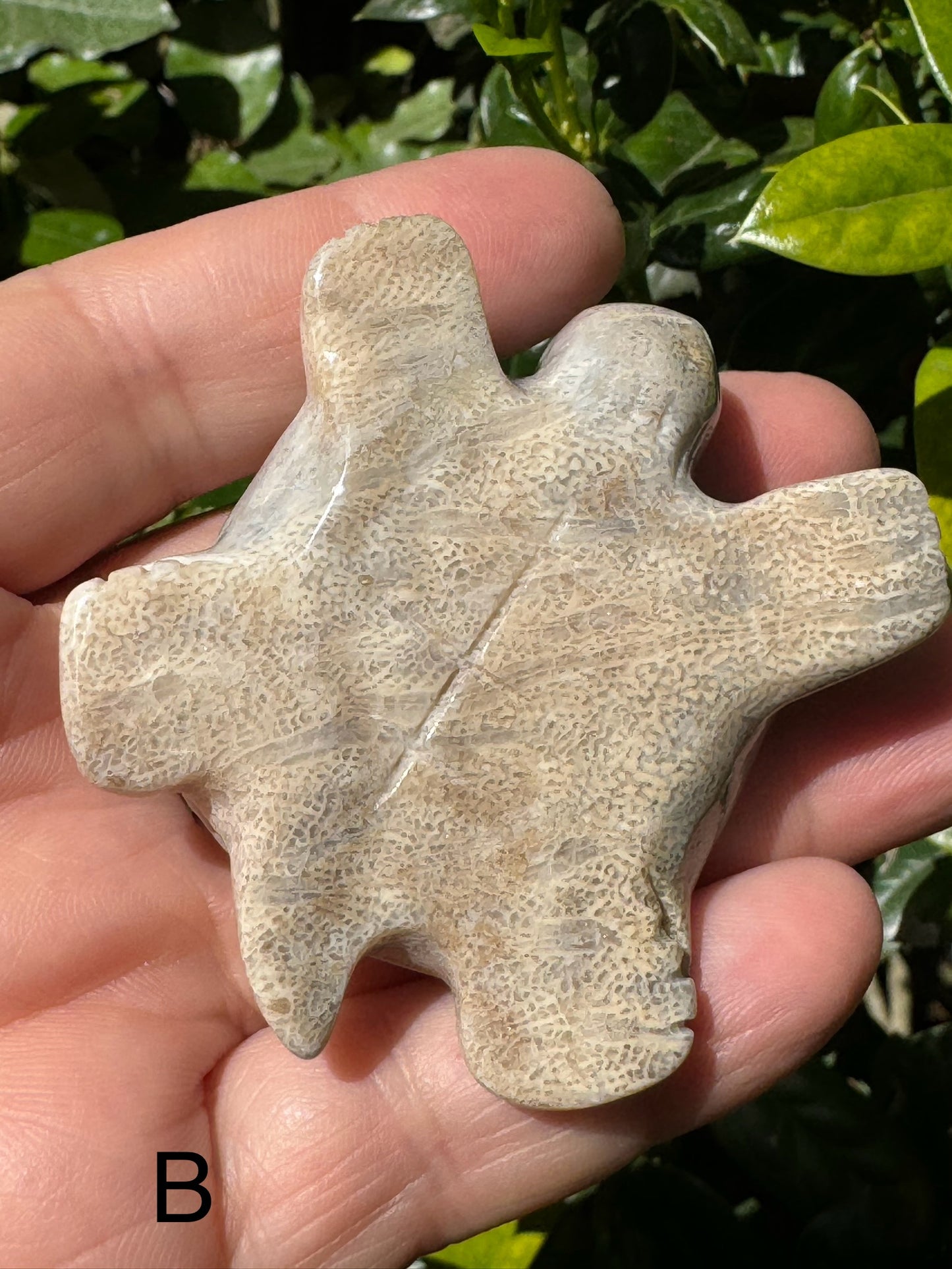 Coral Jasper Tortoise Carving