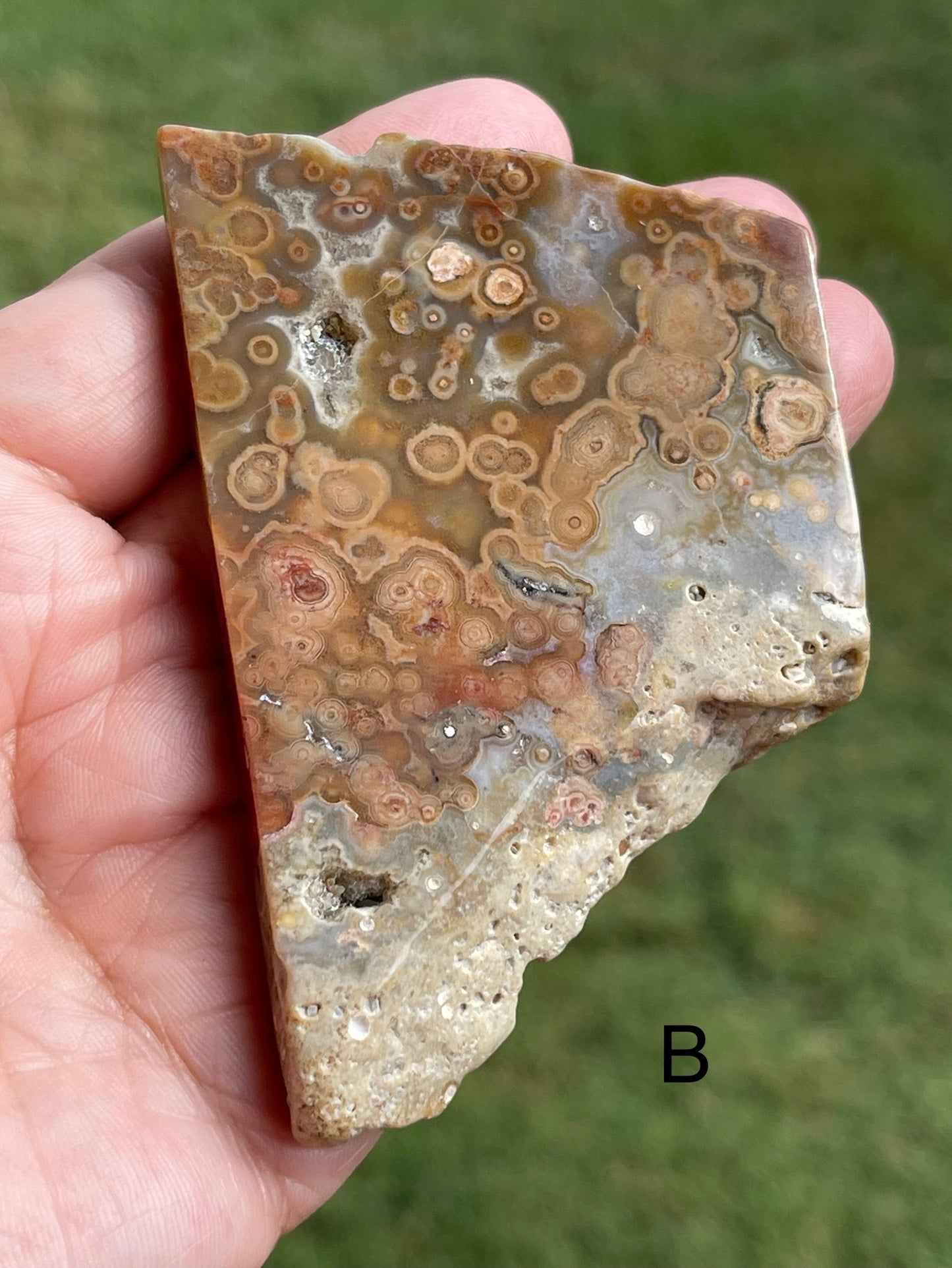 Ocean Jasper Slab