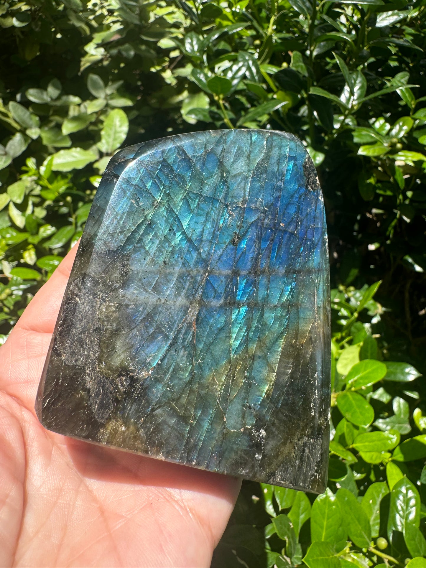 Labradorite Freeform 90mm