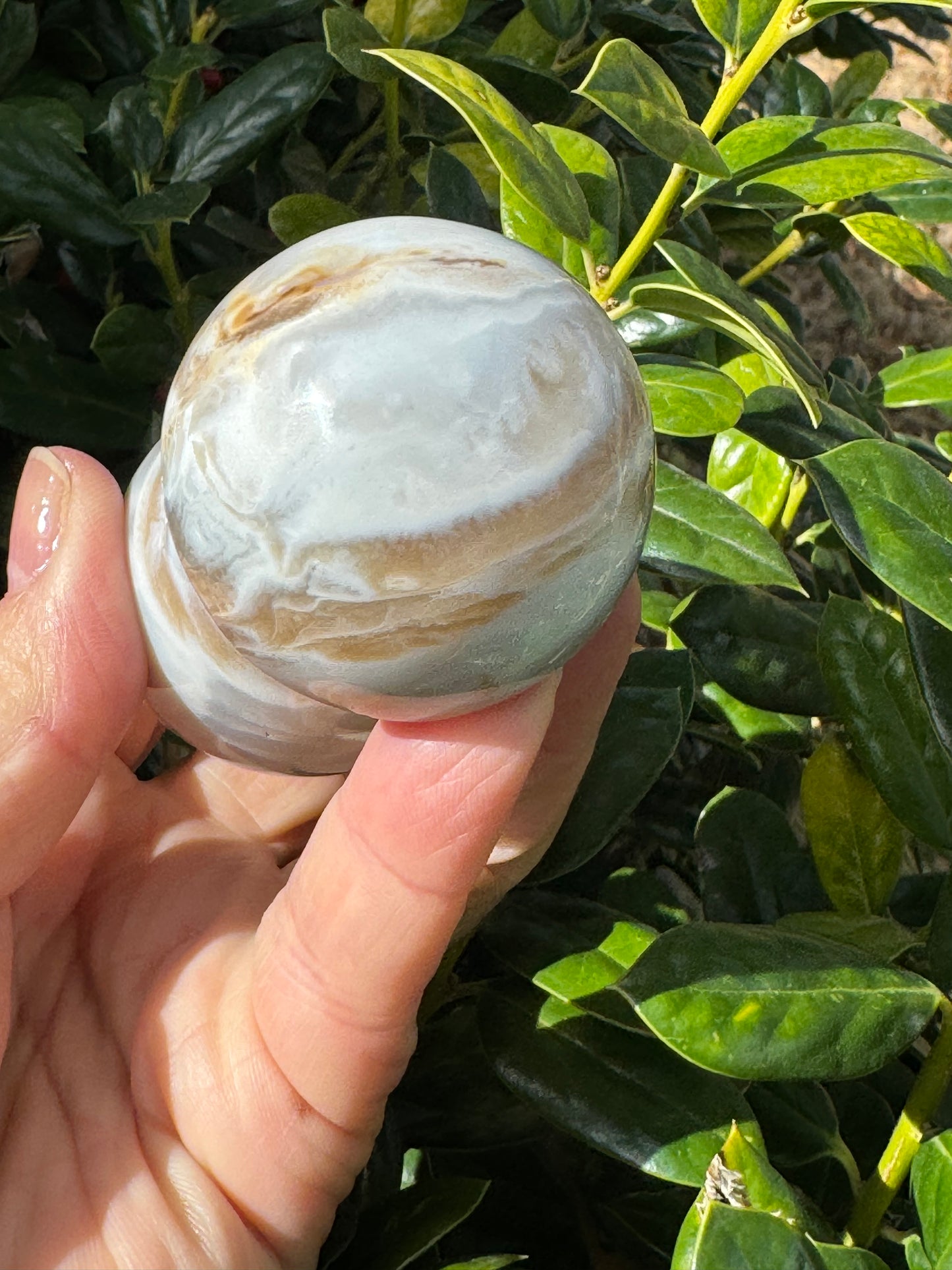 Ocean Jasper Mushroom Carving