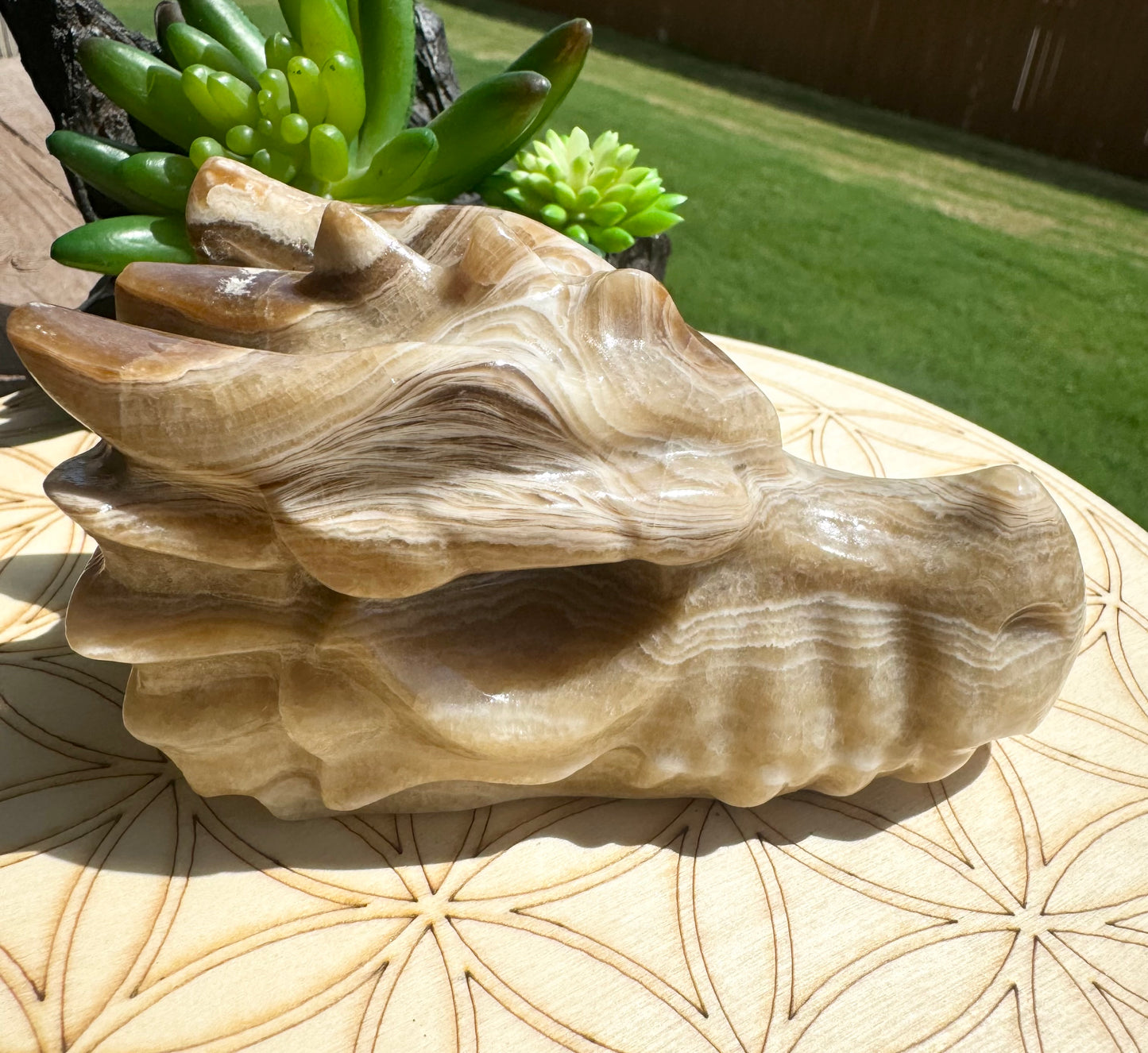 Natural Amber Cherry Agate Dragon Head Carving Large