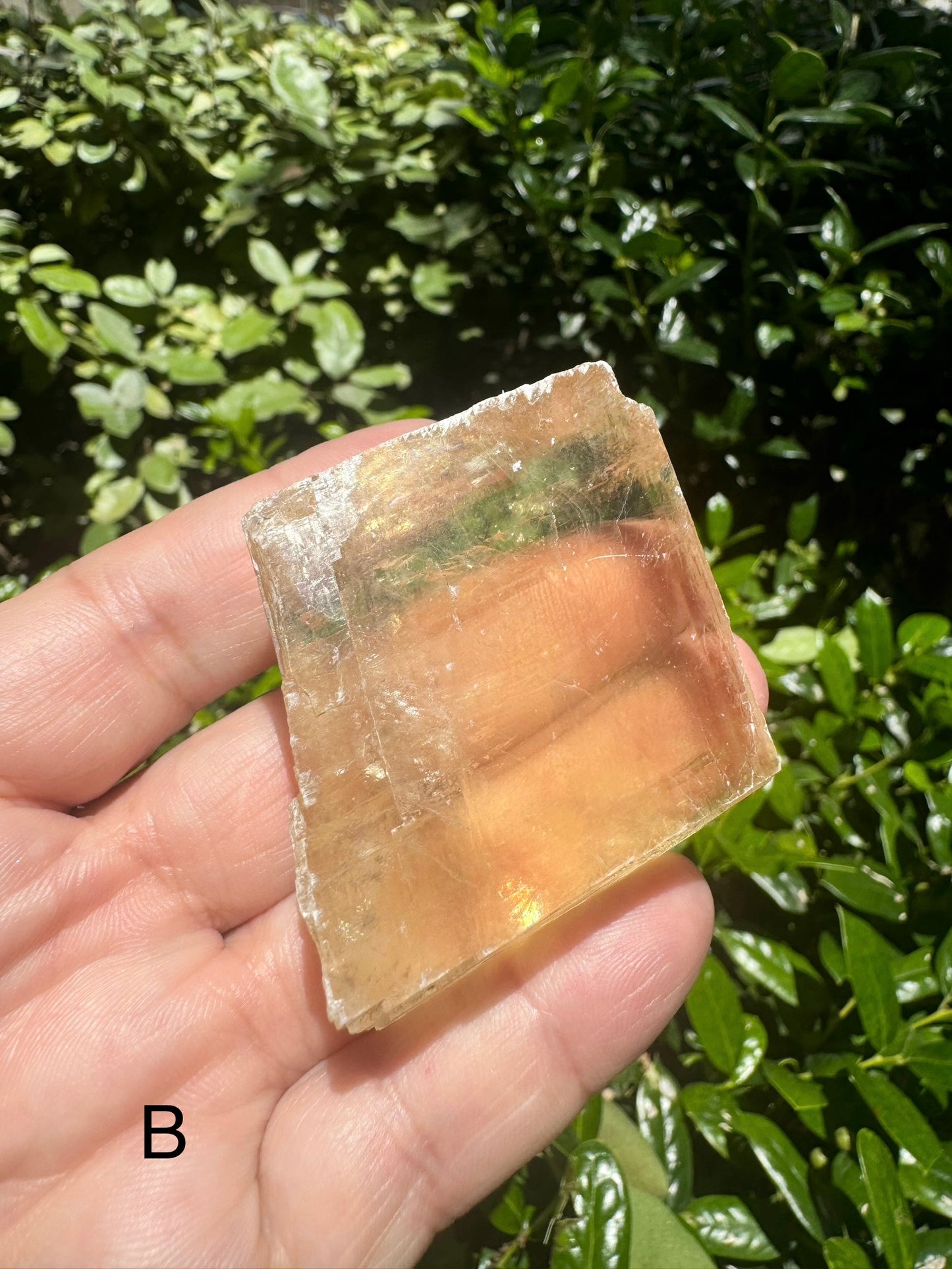 Honey Calcite Free form Raw