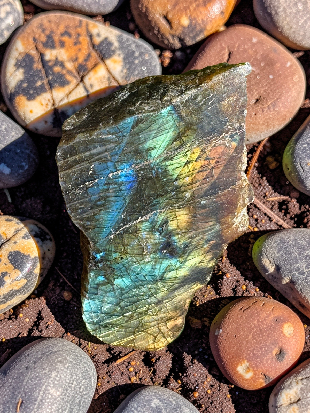 Natural Labradorite Semi-Polish
