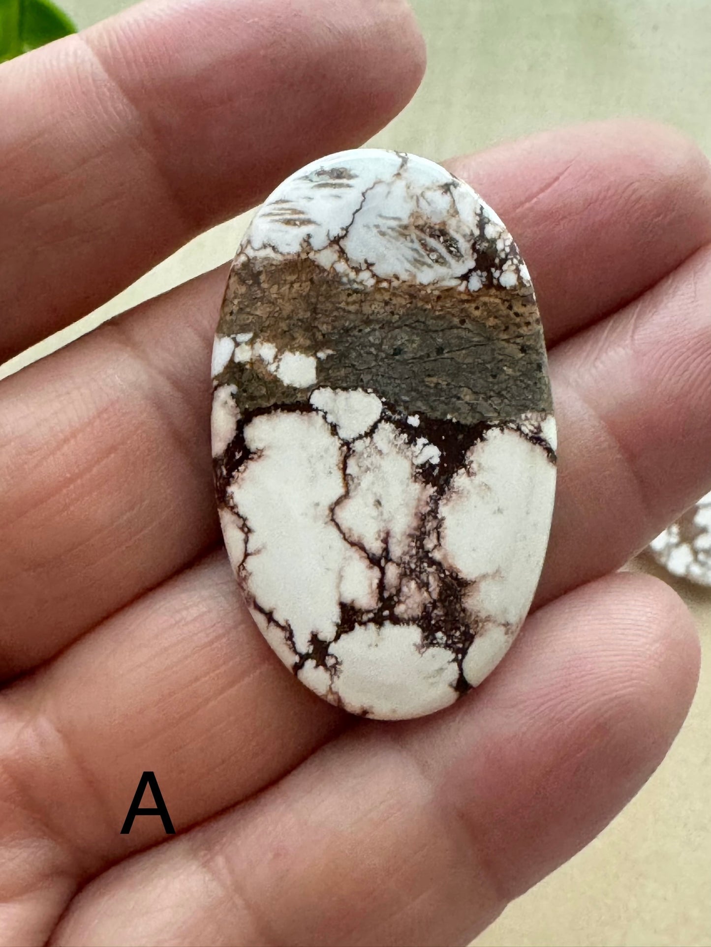 Wild Horse Jasper Cabochon