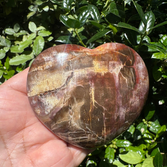 Petrified Wood Heart