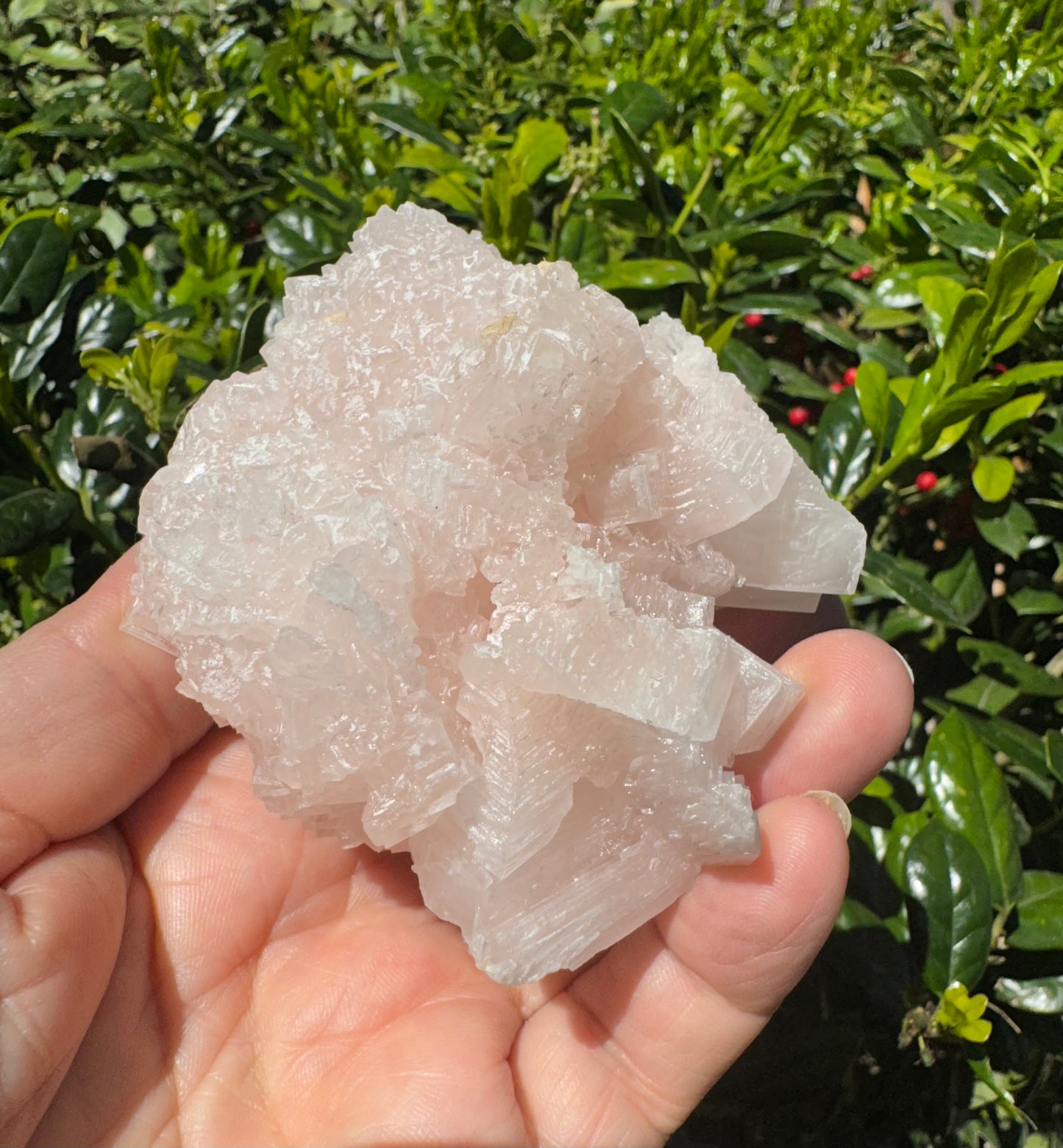 Pink Halite Crystal Specimen