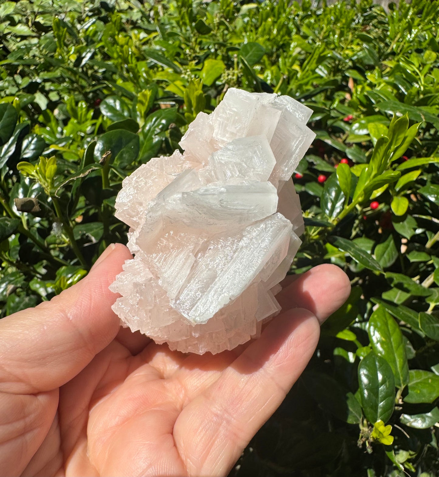 Pink Halite Crystal Specimen