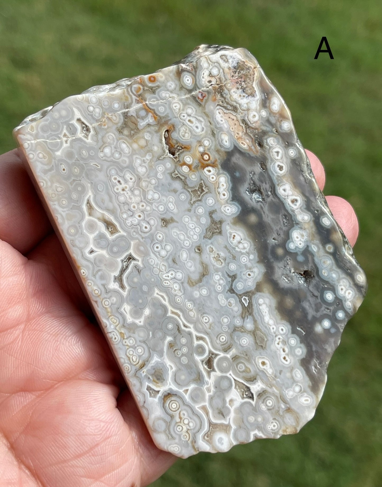 Ocean Jasper Slab