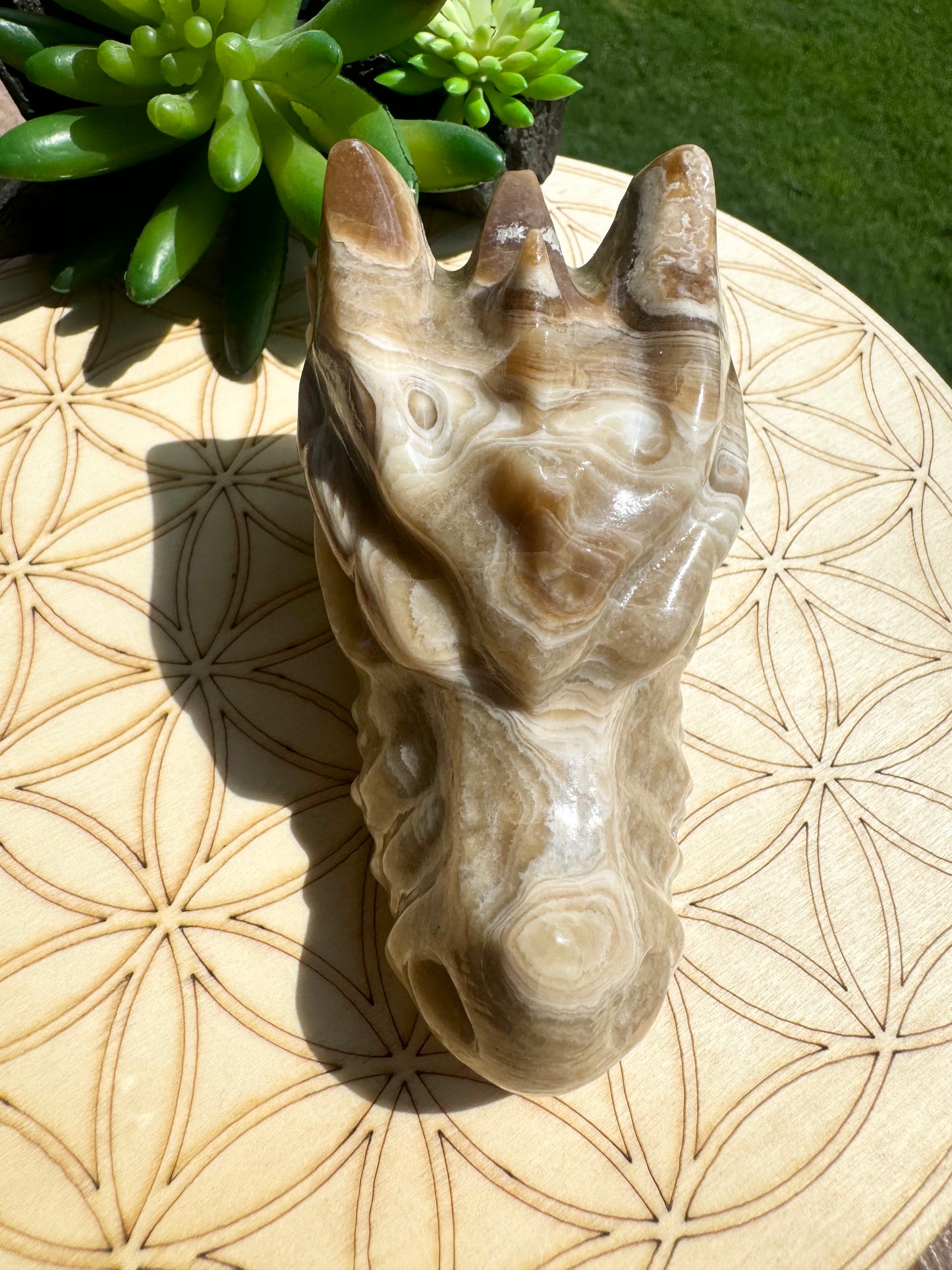 Natural Amber Cherry Agate Dragon Head Carving Large