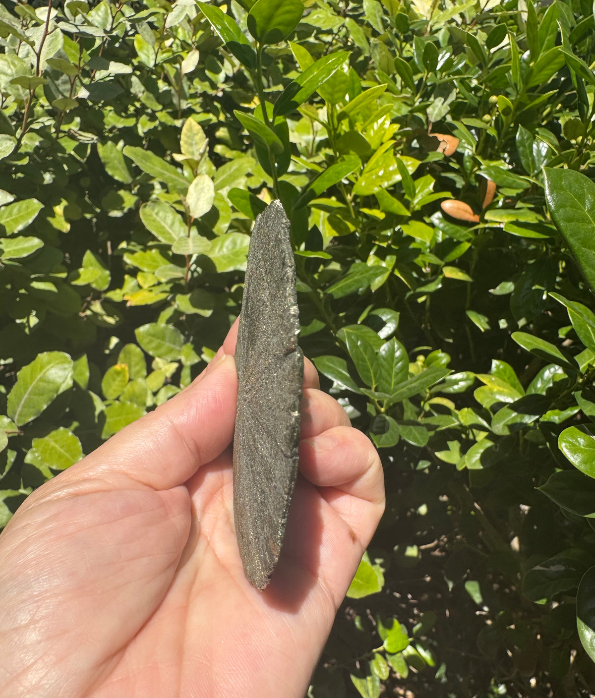 Pyrite Sun Specimen