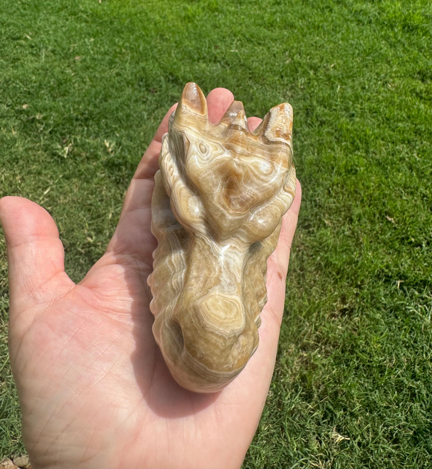 Natural Amber Cherry Agate Dragon Head Carving Large