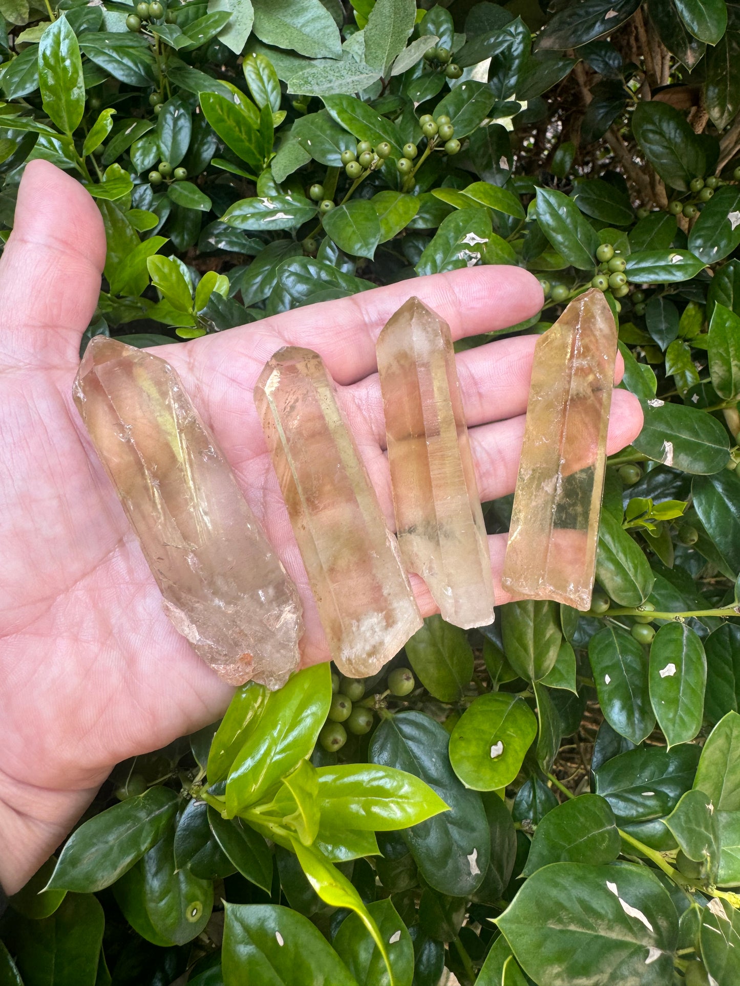 Raw Citrine Points