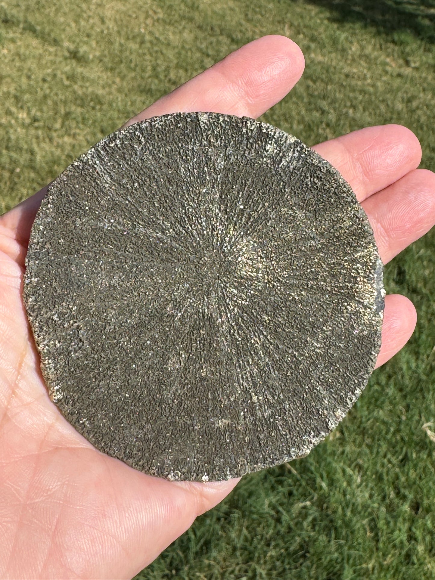 Pyrite Sun Specimen