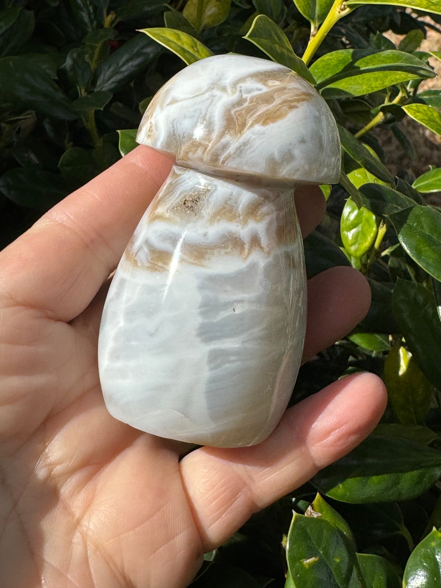 Ocean Jasper Mushroom Carving