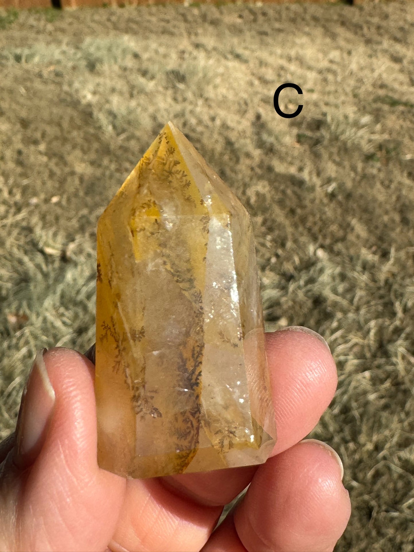 Dendritic Golden Healer Quartz Points