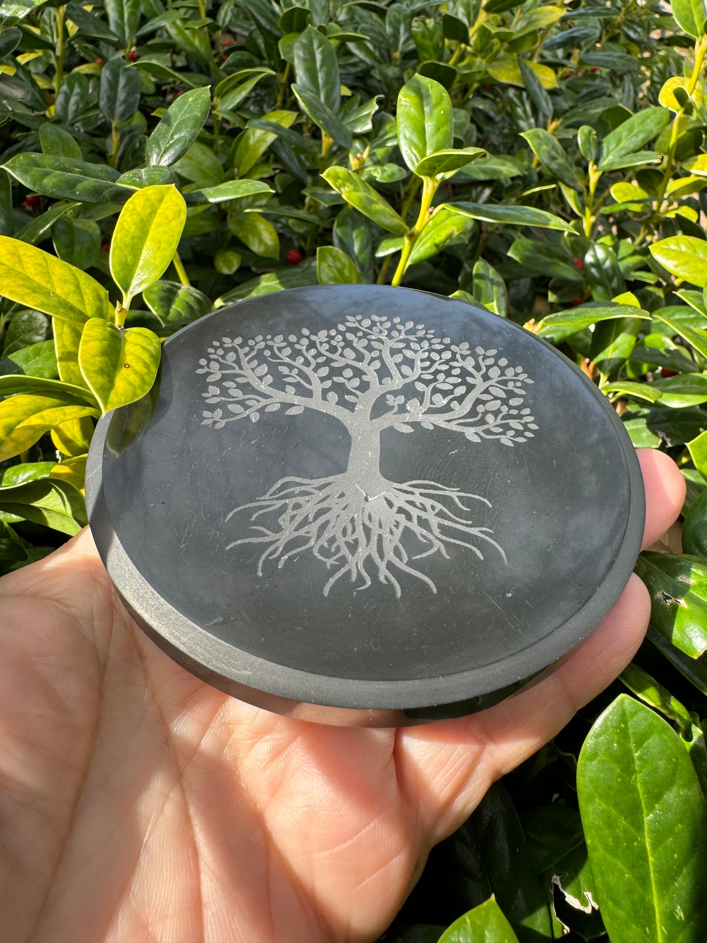 Shungite Plate Tree of Life