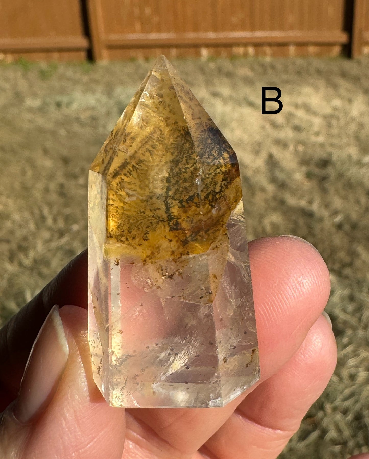 Dendritic Golden Healer Quartz Points