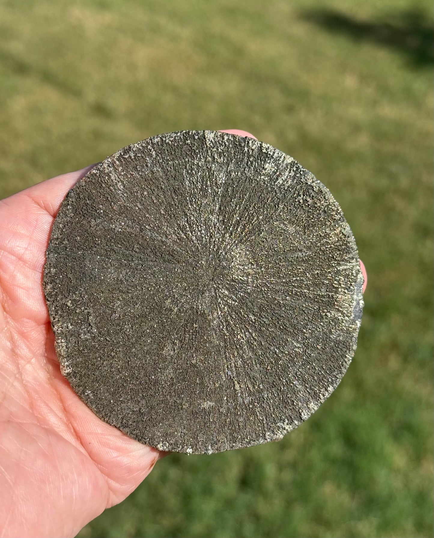 Pyrite Sun Specimen