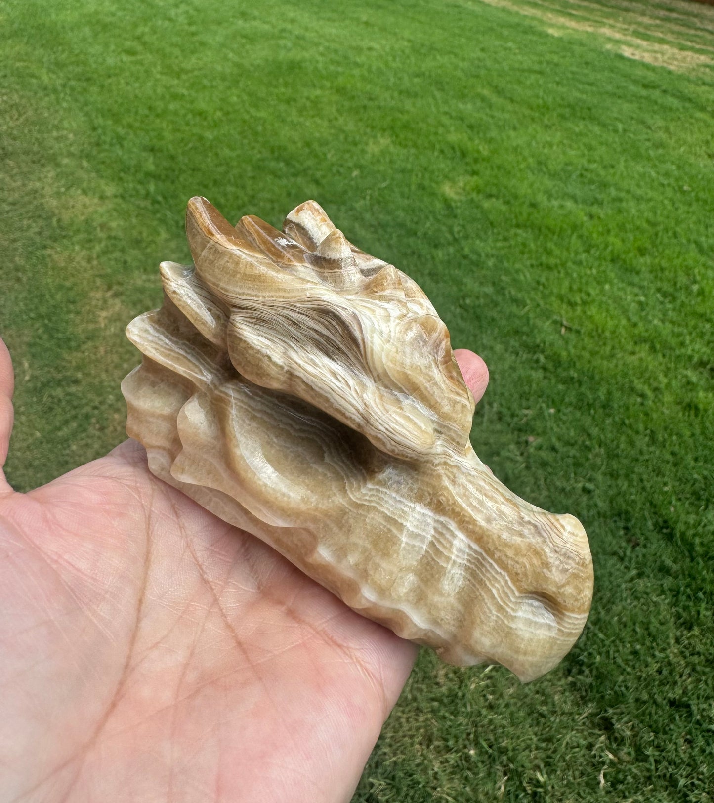 Natural Amber Cherry Agate Dragon Head Carving Large